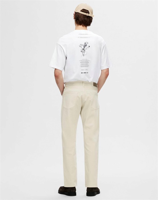 Straight Scott Colored Jeans